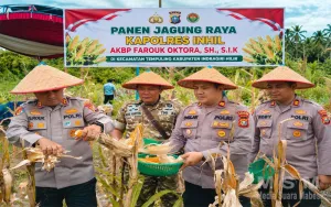 Kepolisian Negara Republik Indonesia Dorong Swasembada Pangan, Kapolres Inhil Hadiri Panen Raya Jagung Serentak Nasional di Tempuling