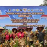 Sinergi Polri dan Masyarakat, Polres Humbahas Panen Jagung Serentak