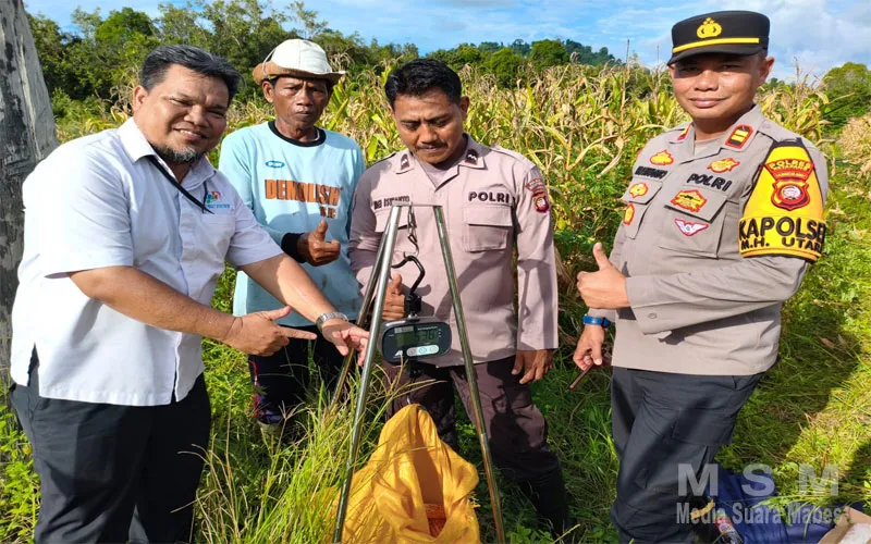 Kapolsek Matan Hilir Utara Bersama Tim Laksanakan Pengambilan Sampel Jagung Hibrida Jelang Panen