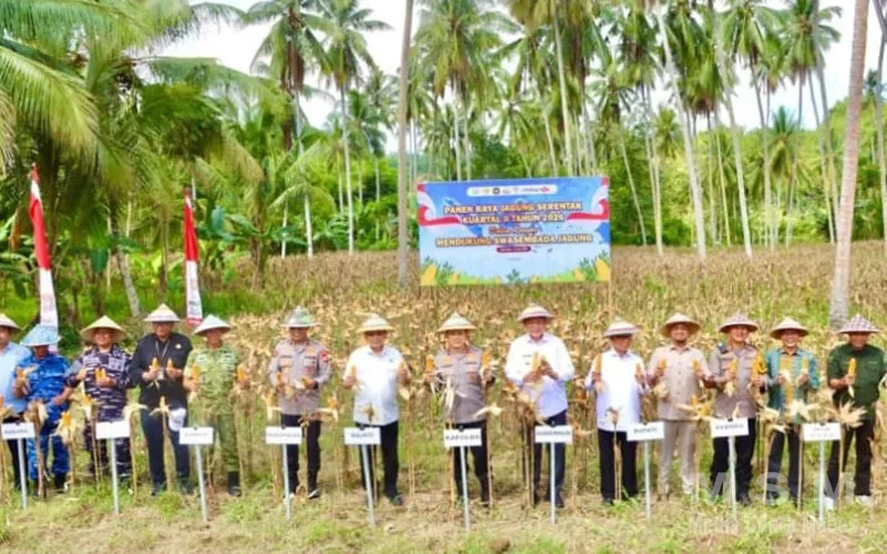 Panen Raya Jagung Kuartal II 2026: Polda Gorontalo Dukung Penuh Swasembada Pangan