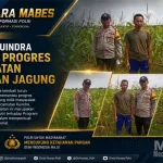 Polsek Kuindra Pantau Pertumbuhan Jagung Warga, Dukung Ketahanan Pangan Nasional