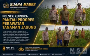 Polsek Kuindra Pantau Pertumbuhan Jagung Warga, Dukung Ketahanan Pangan Nasional