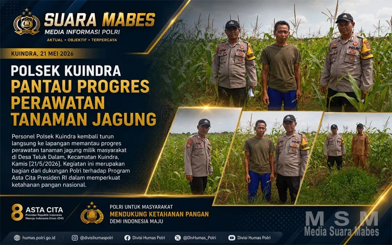 Polsek Kuindra Pantau Pertumbuhan Jagung Warga, Dukung Ketahanan Pangan Nasional