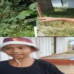 Bapak Saya Baru Meninggal, PT NPR Garap Lahan Kami Tanpa Izin, Dimana Rasa Keadilan Di Negeri Ini
