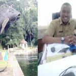 Ribuan Ikan Dewa Kembali Dilepas ke Kolam Cigugur, Pemkab Kuningan Tunggu Instruksi Bupati