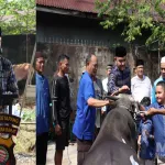 Polres Ketapang Serahkan 11 Ekor Sapi dan 3 Ekor Kambing Qurban di Momen Idul Adha 1447 H