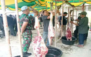 Dari Tembilahan untuk Sesama: 14 Sapi Qurban dan 1.000 Paket Daging Wujudkan Kebersamaan Idul Adha 1447 H