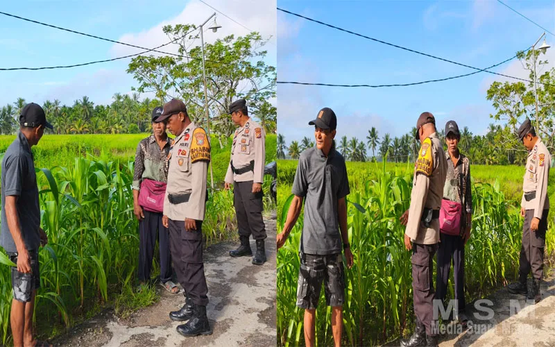 Polsek Sungai Batang Aktif Dampingi Warga, Dukung Swasembada Ketahanan Pangan di Kecamatan Sungai Batang