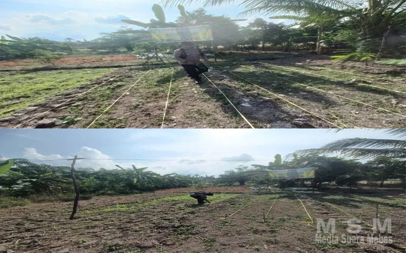 Bhabinkamtibmas Kelurahan Pekan Arba Cek dan Kontrol Tanaman Jagung guna dukung ketahanan pangan