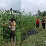 Bhabinkamtibmas Turun ke Ladang, Wujud Nyata Dukungan Polri terhadap Ketahanan Pangan
