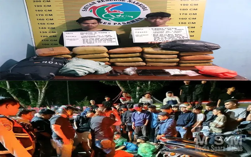 Puluhan Paket Ganja dari Sumut Digagalkan Masuk Sumbar, Dua Kurir Ditangkap di Lubuk Sikaping