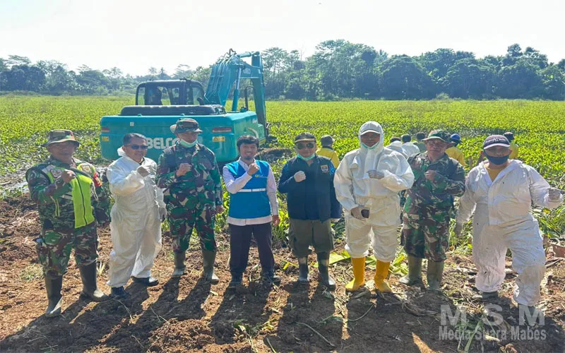 Respon Cepat Keluhan Warga, PLTA Saguling Bersama Stakeholder Gelar Pembersihan Eceng Gondok