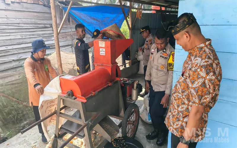 Polsek Perhentian Raja Hadir Saat Pemipilan Jagung – Poktan Berkarya Desa Pantai Raja Targetkan 2 Ton Hasil