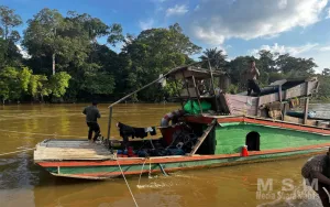 Komitmen Tegas Berantas PETI, Polres Ketapang Kembali Tuntaskan Perkara Pertambangan Emas Tanpa Izin di Sandai