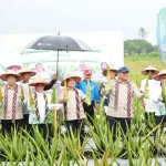 Wamentan Dan Gubernur Kalbar Dorong Optimalisasi Budidaya Lidah Buaya Sebagai Penggerak Ekonomi Lokal