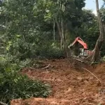 Penyerobotan Tanah Kebun Karet di Kampung Besiq Kecamatan Damai, Pemilik Kebun ibu Ceng Neti, Meminta Keadilan Aparat Penegak Hukum, Dan Hukum Adat Tetap Berjalan