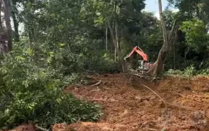 Penyerobotan Tanah Kebun Karet di Kampung Besiq Kecamatan Damai, Pemilik Kebun ibu Ceng Neti, Meminta Keadilan Aparat Penegak Hukum, Dan Hukum Adat Tetap Berjalan