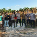 Panen Jagung Hibrida 1 Hektare, Polsek Matan Hilir Utara Dukung Program Ketahanan Pangan Nasional
