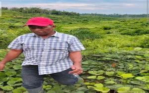 Diduga Ada Praktik “Mafia Tanah” di KABUPATEN ACEH TIMUR ‘ ADA Beberapa Gampong, Warga Minta Tim dari Pusat Turun Luruskan