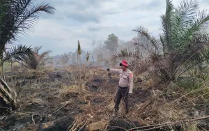 Polsek Matan Hilir Utara Bersama Manggala Agni Dan Warga Lakukan Pemadaman Kebakaran Lahan