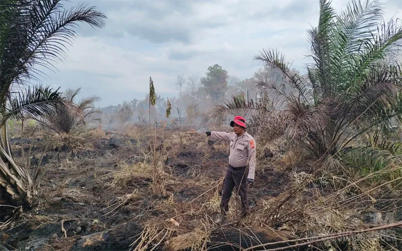 Polsek Matan Hilir Utara Bersama Manggala Agni Dan Warga Lakukan Pemadaman Kebakaran Lahan