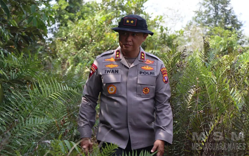 Kapolda Kalteng Turun Langsung Padamkan Api di Tumbang Nusa