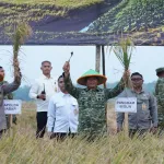 Panen Raya TNI di Sumedang Perkuat Sinergi Wujudkan Ketahanan Pangan Nasional