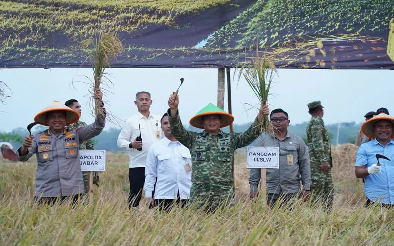 Panen Raya TNI di Sumedang Perkuat Sinergi Wujudkan Ketahanan Pangan Nasional