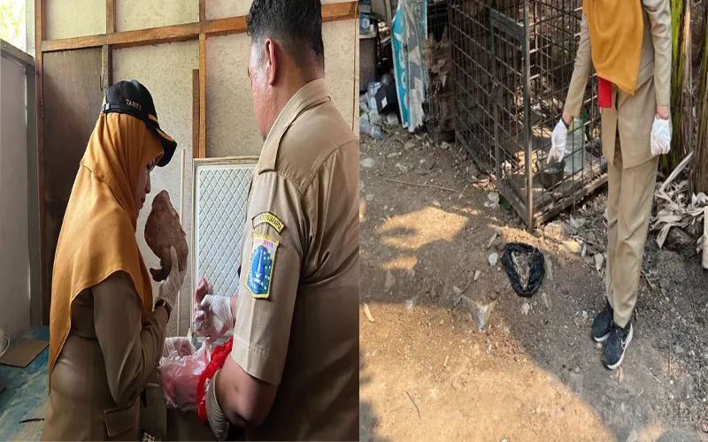 Sidak Lapo di Duri Kosambi, Sudin KPKP Jakarta Barat Temukan Plastik Diduga Berisi Bagian Tubuh Anjing