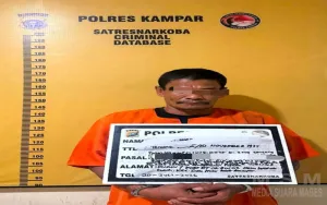 Polsek Siak Hulu Tangkap Warga Desa Terak Buluh, Sita 11 Paket sabu-sabu Siap Edar