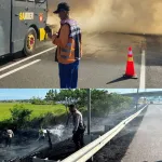 Kebakaran Lahan di sepanjang Jalan Tol Pejagan KM 248 Brebes Jadi Peringatan, Polda Jateng Imbau Masyarakat Hentikan Pembakaran Lahan Saat Musim Kemarau