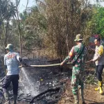Sinergi Polri, TNI, BPBD dan Masyarakat, Personel Polsek Muara Pawan Berjibaku Padamkan Karhutla di Desa Tempurukan