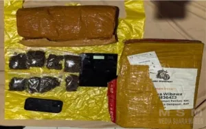 Polda Lampung Berhasil Bongkar Jaringan Narkoba Medan–Bali, 6 Kilogram Ganja Digagalkan