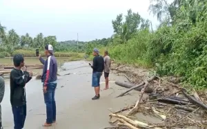 Luken Batah Pasir Yang Dijual Bukan Dari Laut Tapi Dari Tangkahan Pasir Sungai