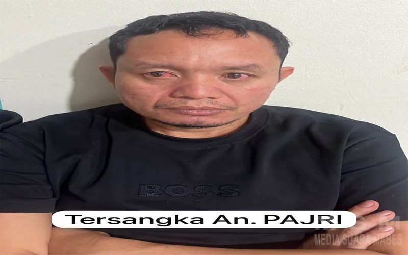 Polres Pelalawan Gagalkan Penyelundupan 12 Kubik Kayu Ilegal, Dua Truk dan Pelaku Diamankan