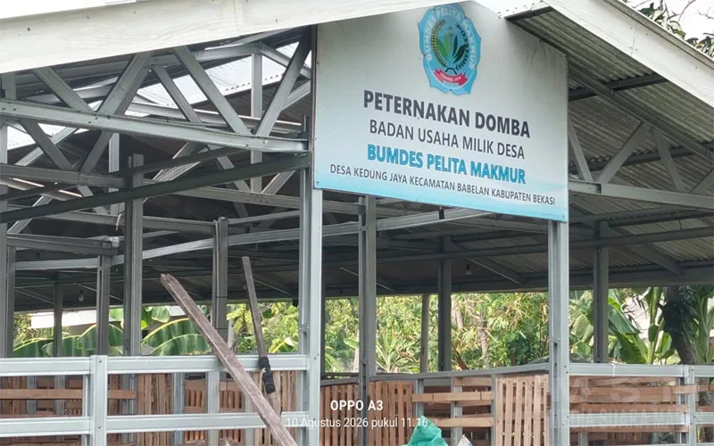 Pengurus BUMDes Kedung Jaya Soroti Transparansi Pengelolaan, Dorong Segera Digelar Rapat Evaluasi