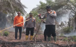 Karhutla Lahan Gambut Meluas di Kualu Nenas, Kapolres Kampar Turun Langsung Pimpin Penanganan