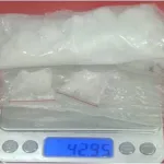 Bawa Sabu Dengan Berat Total 42,95 Gram Bruto, Oknum Warga Pontianak Di Amankan Polsek Nanga Tayap
