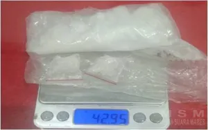 Bawa Sabu Dengan Berat Total 42,95 Gram Bruto, Oknum Warga Pontianak Di Amankan Polsek Nanga Tayap