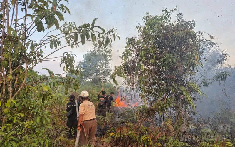 Gerak Cepat Cegah Karhutla, Polres Ketapang Bersama Tim Gabungan Padamkan Kebakaran 15 Hektare di Kendawangan