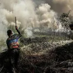 Presiden Prabowo Pimpin Ratas Karhutla di Pontianak: “Saya Datang Lihat Keadaan Nyata”