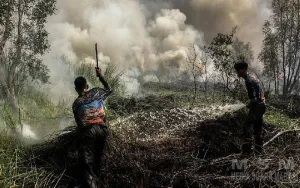 Presiden Prabowo Pimpin Ratas Karhutla di Pontianak: “Saya Datang Lihat Keadaan Nyata”