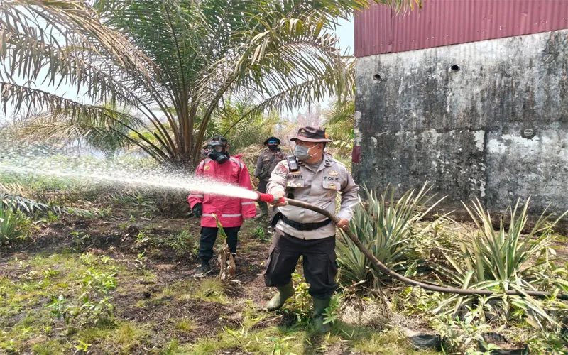 Polres Ketapang Intensif Tangani Karhutla di Muara Pawan