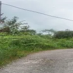 Tiang Listrik Yang Terbuat Dari Kayu Sudah Miring Hampir Tumbang Karena Sudah Membusuk Dan Kabel Mulai Koyak