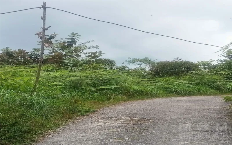 Tiang Listrik Yang Terbuat Dari Kayu Sudah Miring Hampir Tumbang Karena Sudah Membusuk Dan Kabel Mulai Koyak