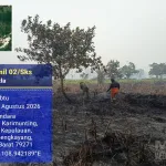 Babinsa Terjun Langsung Padamkan Karhutla 2 Hektare Lahan Gambut Berhasil Diamankan