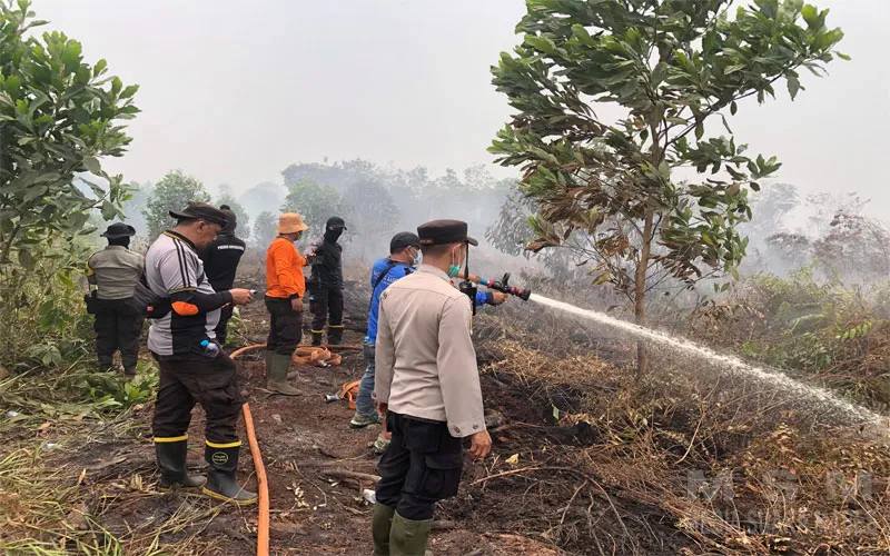 Karhutla Gambut Pangmilang Singkawang Meluas, 24 Personel Gabungan Bergerak Kendalikan Api