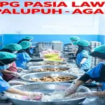 Gawat, 280 Penerima MBG Diduga Keracunan Makanan, SPPG Pasia Laweh Dihentikan Sementara