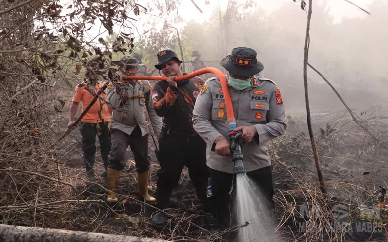 Kapolres Kampar Pimpin Langsung Operasi Pemadaman Karhutla di Rimbo Panjang: 70 Personel Gabungan Berhasil Padamkan Api di Lahan Gambut 1 Hektar