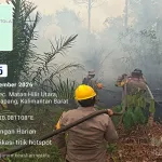 Tim Gabungan Bergerak Cepat, Karhutla di Desa Kuala Tolak Berhasil Dikendalikan